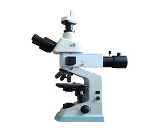 荧光模块显微镜